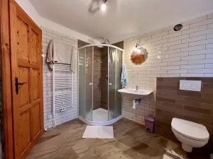 Prodej chalupy, Orlické Podhůří, 267 m2