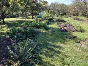 Prodej chalupy, Orlické Podhůří, 267 m2