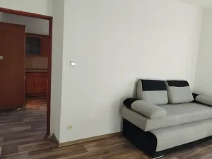 Pronájem bytu 1+1, Plzeň, Ořechová, 36 m2