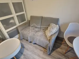 Pronájem bytu 1+kk, Chrudim, Podkopanický mlýn, 30 m2
