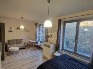 Pronájem bytu 1+kk, Chrudim, Podkopanický mlýn, 30 m2