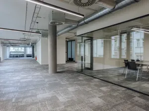 Pronájem kanceláře, Praha - Nové Město, Václavské náměstí, 654 m2