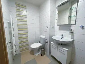 Pronájem bytu 1+kk, Praha - Vršovice, Sevastopolská, 34 m2