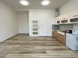 Pronájem bytu 1+kk, Brno, Lidická, 36 m2