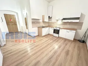 Pronájem bytu 1+1, Plzeň, Hřímalého, 36 m2