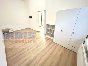 Pronájem bytu 1+1, Plzeň, Hřímalého, 36 m2