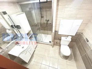 Pronájem bytu 1+1, Plzeň, Hřímalého, 36 m2