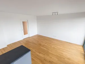 Prodej bytu 2+kk, Praha - Žižkov, U Viktorie, 63 m2