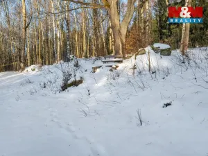 Prodej chalupy, Tanvald - Šumburk nad Desnou, 118 m2