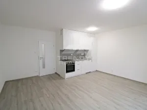 Pronájem bytu 1+kk, Plzeň, Heyrovského, 40 m2