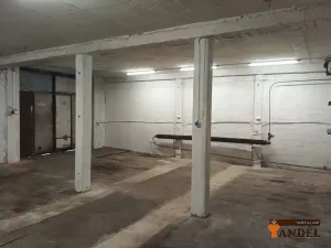 Pronájem skladu, Orlová, Rolnická, 80 m2