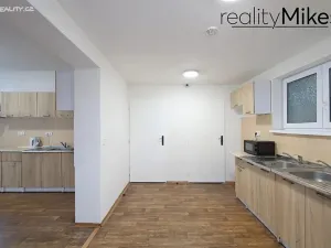 Pronájem ubytování, Dobrovice, 500 m2