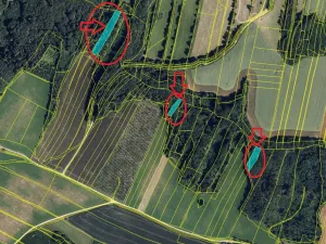 Prodej lesa, Ludmírov, 9585 m2