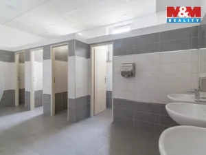 Pronájem kanceláře, Praha, Podbabská, 20 m2