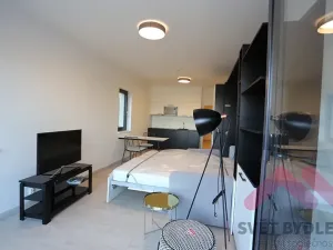 Pronájem bytu 1+kk, Praha - Karlín, U Mlýnského kanálu, 41 m2