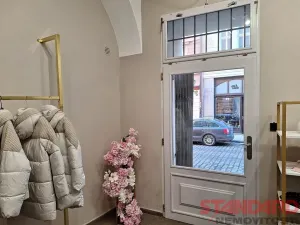 Pronájem obchodního prostoru, Plzeň, Bezručova, 53 m2