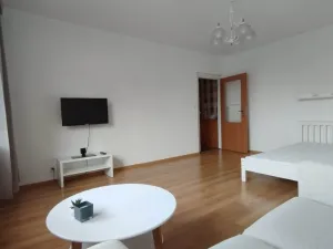 Pronájem bytu 1+1, Český Těšín, Okružní, 40 m2