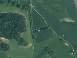 Prodej pole, Velký Bor, 11261 m2