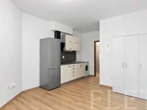 Pronájem bytu 1+kk, Praha - Hloubětín, Kukelská, 20 m2