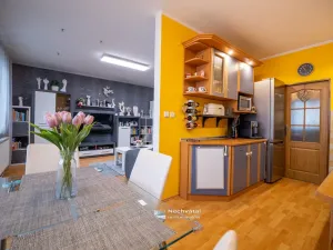 Prodej bytu 3+kk, Hodonice, Na Vinici, 83 m2