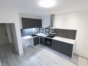 Pronájem bytu 1+1, Orlová - Lutyně, Vnitřní, 37 m2