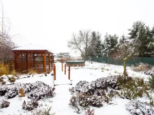 Prodej rodinného domu, Hostomice, Nádražní, 190 m2