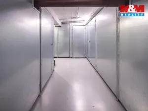 Prodej obchodního prostoru, Praha - Žižkov, Biskupcova, 54 m2