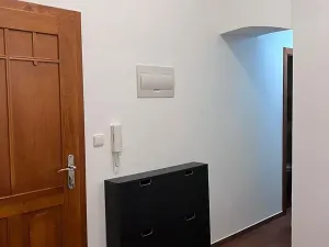 Pronájem bytu 1+kk, Kolín, Na Hradbách, 49 m2