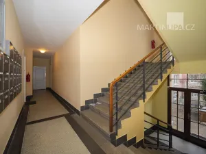 Prodej bytu 1+kk, Praha - Nusle, U družstva Ideál, 25 m2