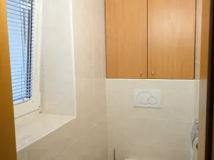 Prodej bytu 3+1, Holešov, U Letiště, 71 m2