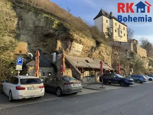 Pronájem restaurace, Mladá Boleslav, Ptácká, 410 m2