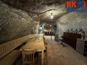 Pronájem restaurace, Mladá Boleslav, Ptácká, 410 m2