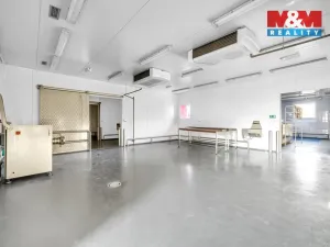 Pronájem obchodního prostoru, Červený Kostelec, Sokolská, 726 m2