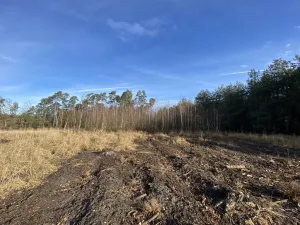 Prodej lesa, Veliny, 4968 m2