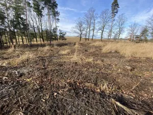 Prodej lesa, Veliny, 4968 m2