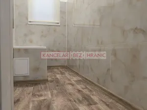 Pronájem bytu 1+1, Ostrava, Hilbertova, 54 m2