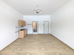 Pronájem bytu 1+kk, Litvínov, Koldům, 32 m2