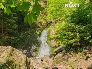 Pronájem ubytování, Horní Město, 250 m2