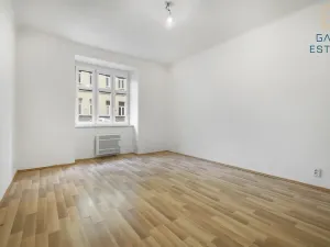 Pronájem bytu 1+1, Brno, Rybníček, 63 m2