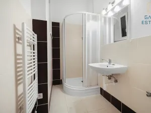 Pronájem bytu 1+1, Brno, Rybníček, 63 m2