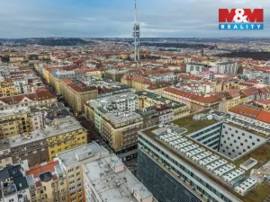 Prodej bytu 1+kk, Praha - Žižkov, Přemyslovská, 38 m2