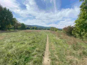 Prodej pozemku, Všenory, 601 m2