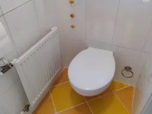 Prodej bytu 2+1, Břidličná, Komenského, 58 m2