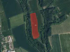 Prodej pole, Soběslavice, 41704 m2