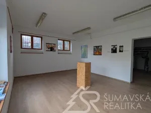 Prodej obchodního prostoru, Žihobce, 330 m2