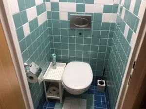 Pronájem bytu 2+1, Praha - Břevnov, Nad alejí, 55 m2