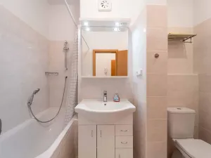 Pronájem bytu 1+1, Olomouc, Na Bystřičce, 41 m2