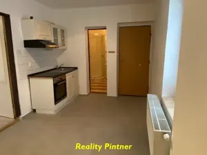 Prodej bytu 1+1, Březnice, V koleji, 40 m2