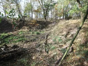 Prodej pozemku, Dolní Břežany, Keltská, 3508 m2