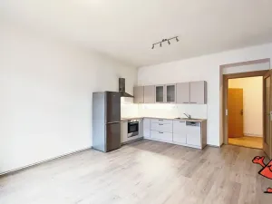 Pronájem bytu 2+kk, Praha - Holešovice, Schnirchova, 75 m2